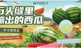 热门大瓜 吃瓜网每日大赛,吃瓜网每日大赛精彩瞬间